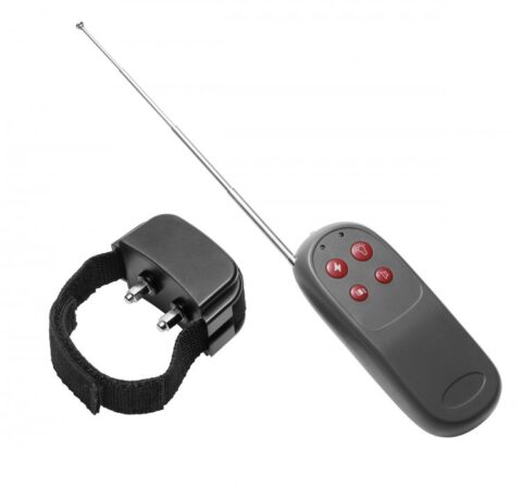 טבעת קוקרינג זרמים אלקטרו קוקרינג XR-Brands - Cock Shock Remote CBT Electric Cock Ring